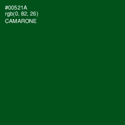 #00521A - Camarone Color Image