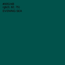 #00524B - Evening Sea Color Image