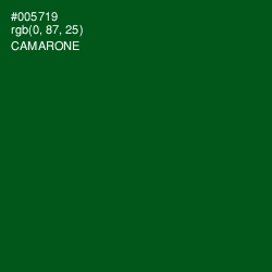 #005719 - Camarone Color Image