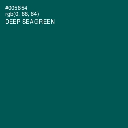 #005854 - Deep Sea Green Color Image