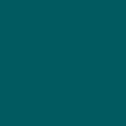 #005A5F - Deep Sea Green Color Image