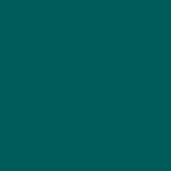 #005C5A - Deep Sea Green Color Image