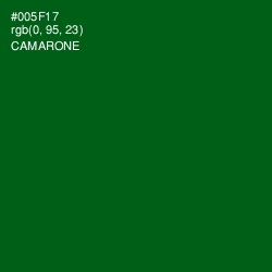 #005F17 - Camarone Color Image