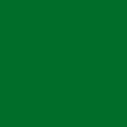 #006D28 - Fun Green Color Image