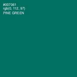 #007061 - Pine Green Color Image