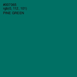 #007065 - Pine Green Color Image