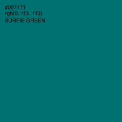 #007171 - Surfie Green Color Image