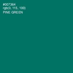 #007364 - Pine Green Color Image