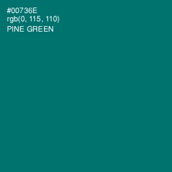 #00736E - Pine Green Color Image