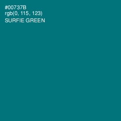 #00737B - Surfie Green Color Image