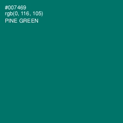 #007469 - Pine Green Color Image