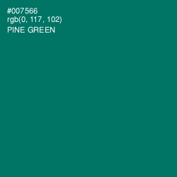 #007566 - Pine Green Color Image