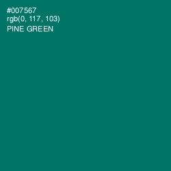 #007567 - Pine Green Color Image