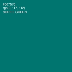 #007570 - Surfie Green Color Image