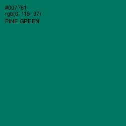 #007761 - Pine Green Color Image