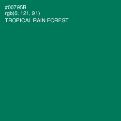 #00795B - Tropical Rain Forest Color Image
