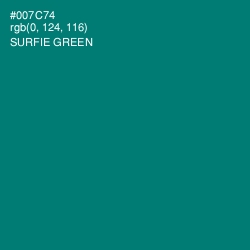 #007C74 - Surfie Green Color Image