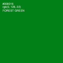 #008016 - Forest Green Color Image