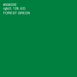 #00803E - Forest Green Color Image