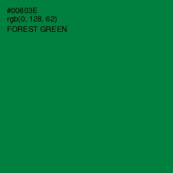 #00803E - Forest Green Color Image