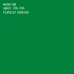 #00813B - Forest Green Color Image