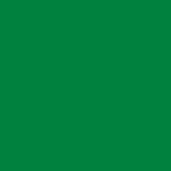 #00813D - Forest Green Color Image