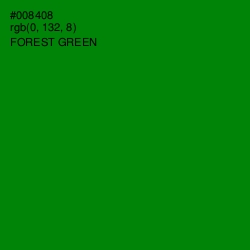 #008408 - Forest Green Color Image