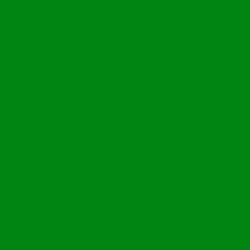 #008412 - Forest Green Color Image