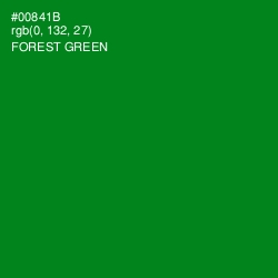 #00841B - Forest Green Color Image