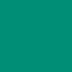 #008E76 - Elf Green Color Image