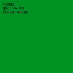 #009324 - Forest Green Color Image