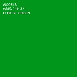 #00951B - Forest Green Color Image