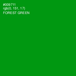 #009711 - Forest Green Color Image