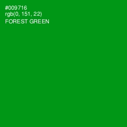 #009716 - Forest Green Color Image