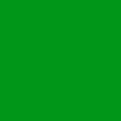 #009718 - Forest Green Color Image