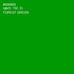 #009803 - Forest Green Color Image