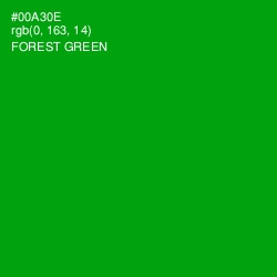 #00A30E - Forest Green Color Image