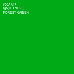 #00AA17 - Forest Green Color Image