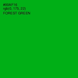 #00AF16 - Forest Green Color Image