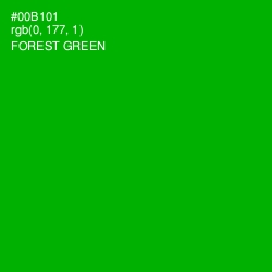 #00B101 - Forest Green Color Image