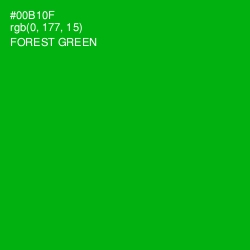 #00B10F - Forest Green Color Image