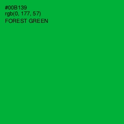 #00B139 - Forest Green Color Image