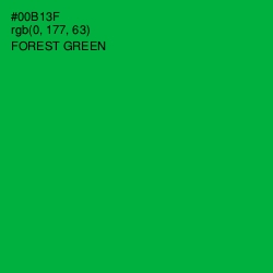 #00B13F - Forest Green Color Image