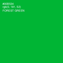 #00B534 - Forest Green Color Image