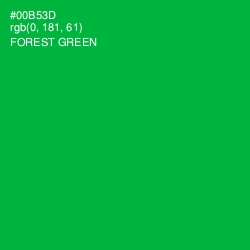 #00B53D - Forest Green Color Image