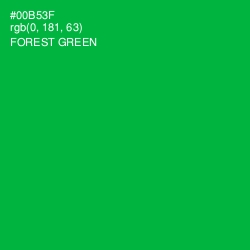 #00B53F - Forest Green Color Image