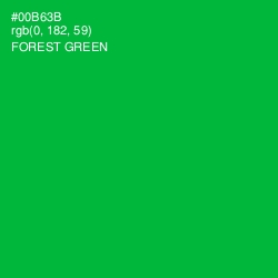 #00B63B - Forest Green Color Image