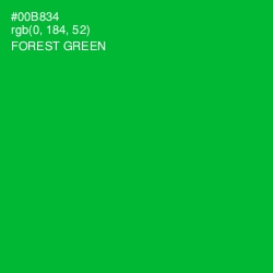 #00B834 - Forest Green Color Image