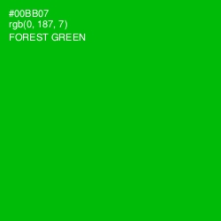 #00BB07 - Forest Green Color Image