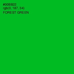 #00BB22 - Forest Green Color Image